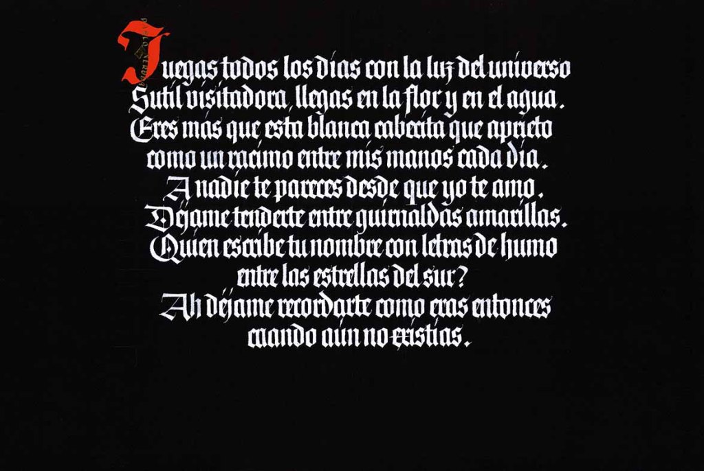 Juegas Todos los Días (Straight)