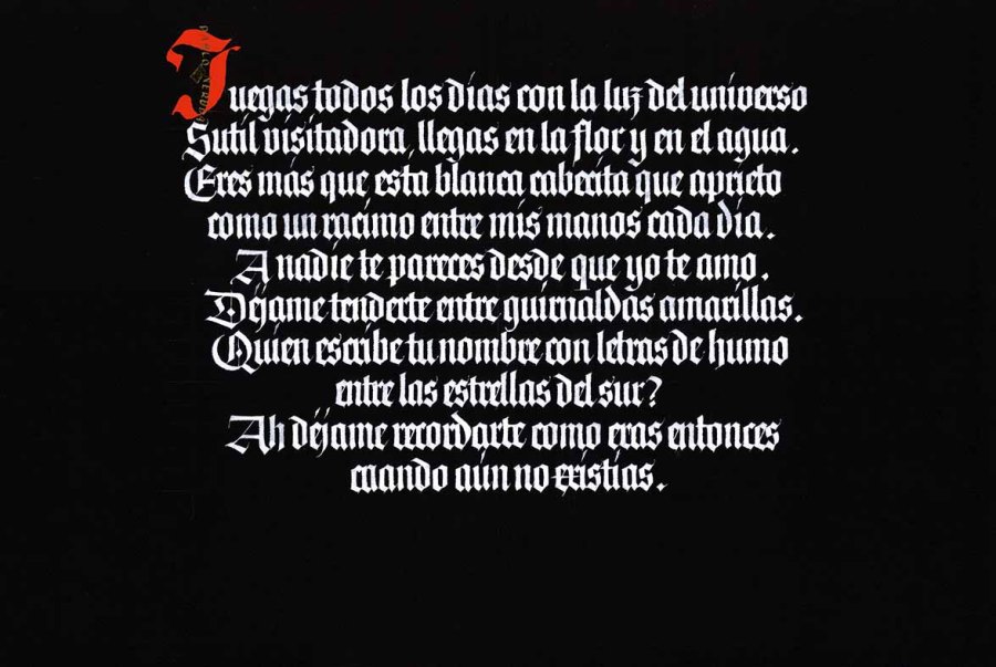 Juegas Todos los Días (Straight)